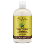 شامبو شيا مويستشر بزيت بذور القنب 384 مل